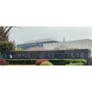 日月光半导体（上海）有限公司